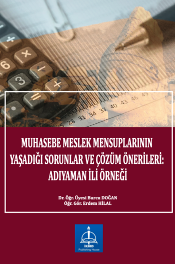 MUHASEBE MESLEK MENSUPLARININ YAŞADIĞI SORUNLAR VE ÇÖZÜM ÖNERİLERİ ...