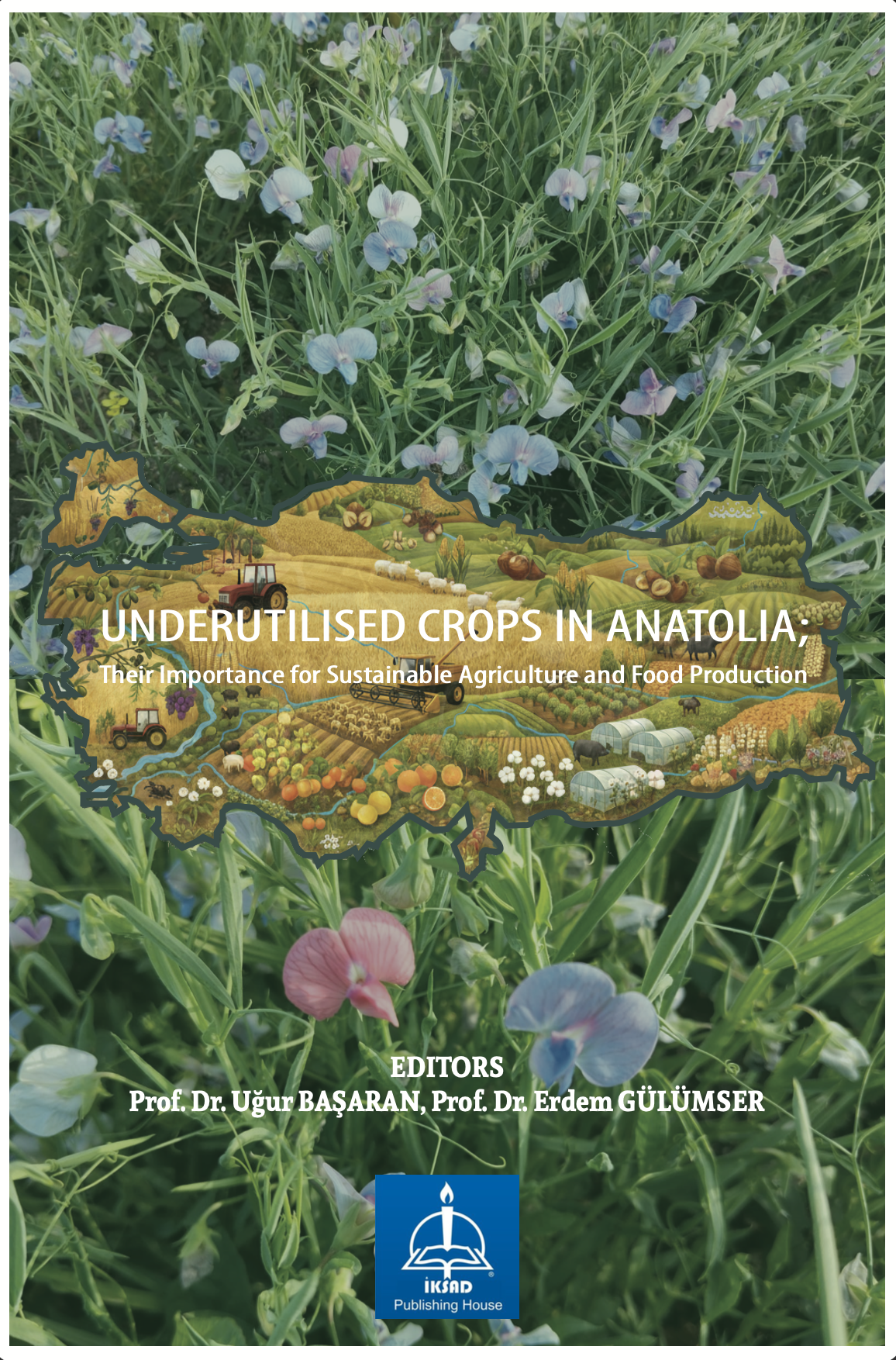 Ekran Resmi 2025-10-29 20.35.40