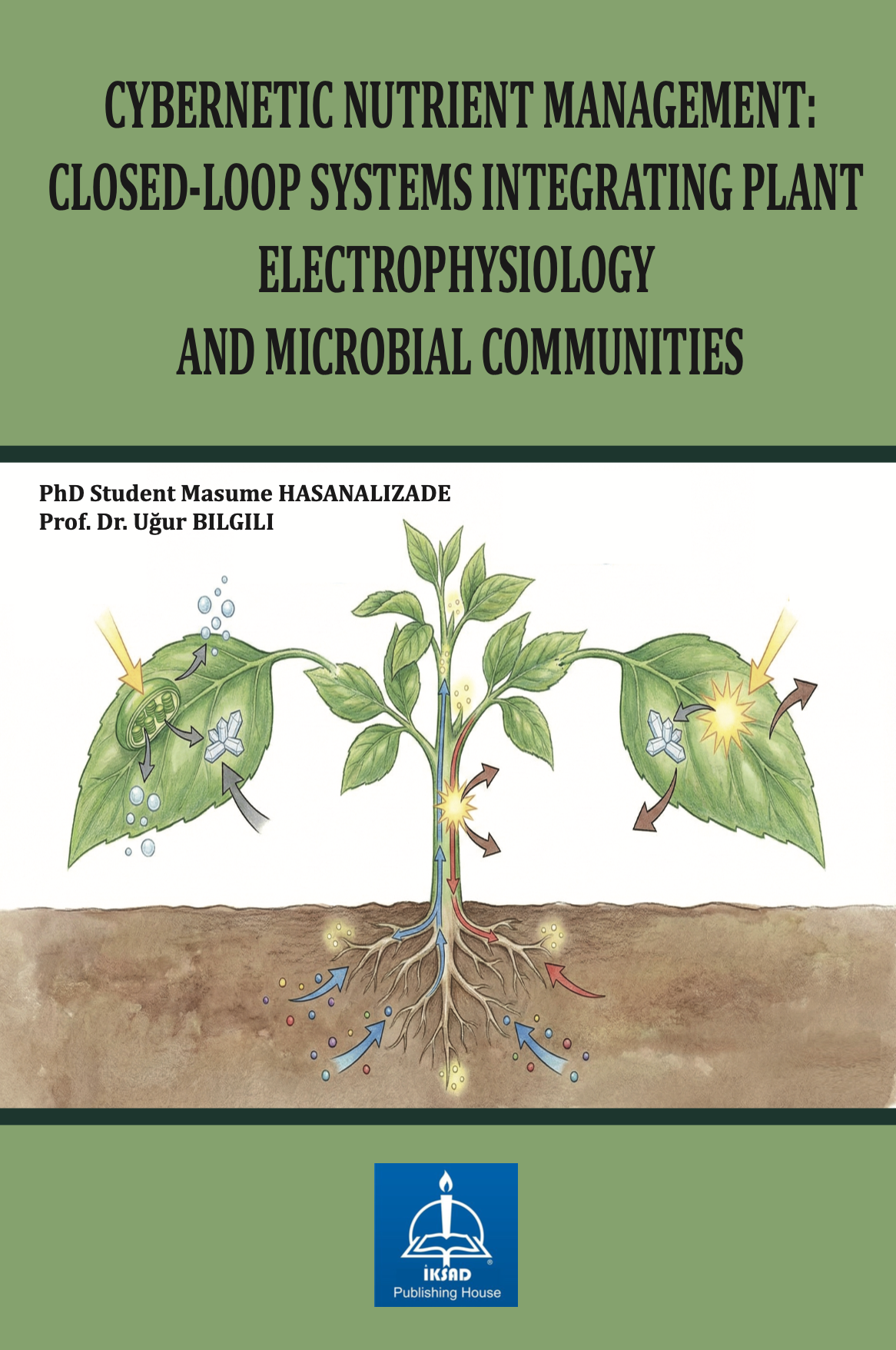 Ekran Resmi 2025-11-29 19.06.39