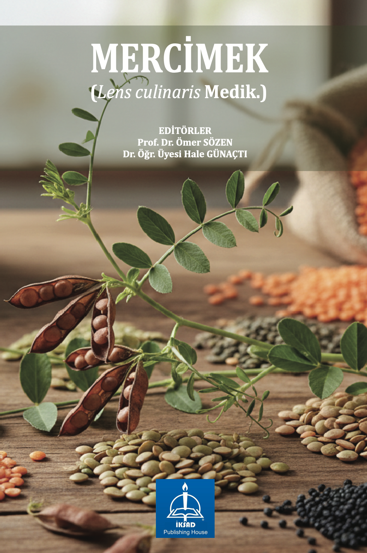 Ekran Resmi 2025-12-17 16.57.48