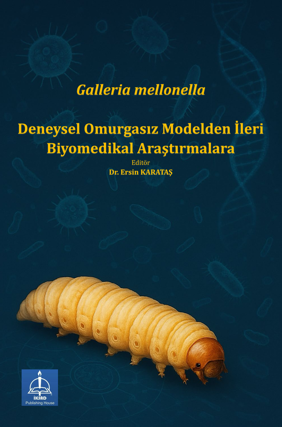 Ekran Resmi 2026-12-31 20.52.38