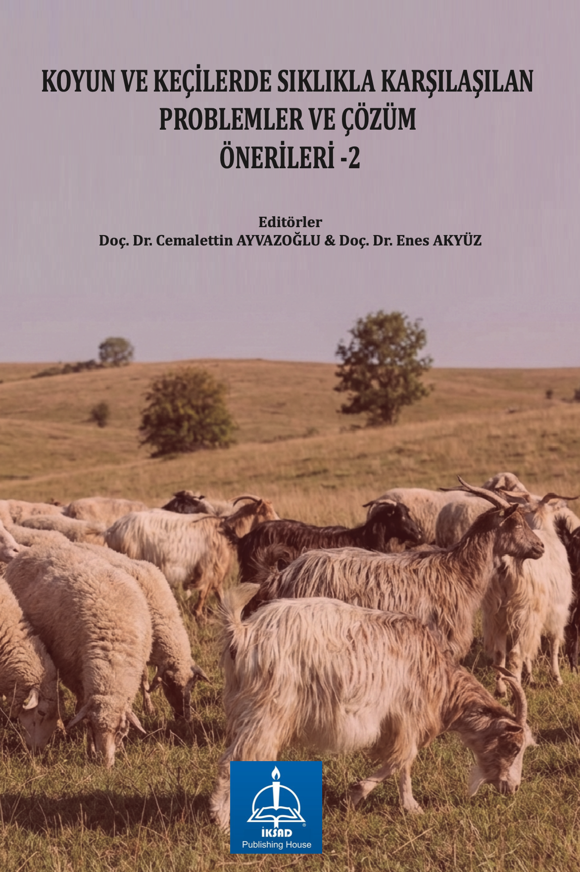 Ekran Resmi 2026-01-02 01.00.42