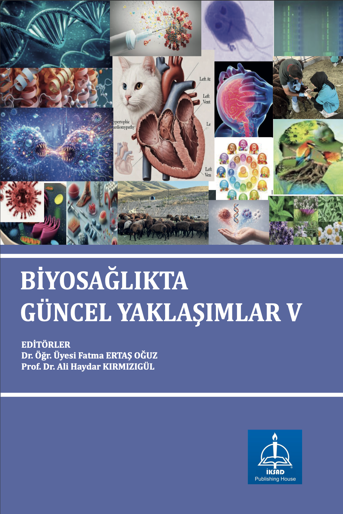 Ekran Resmi 2026-01-03 00.08.09